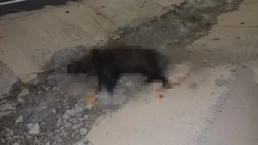 Şarampole yuvarlanan araç