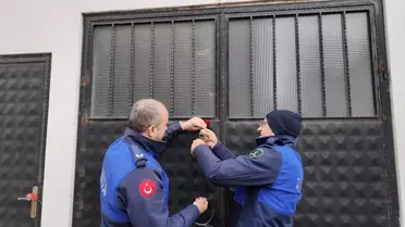 Kocaeli Çayırova’da Ruhsatsız Tavuk İşletmesi Mühürlendi