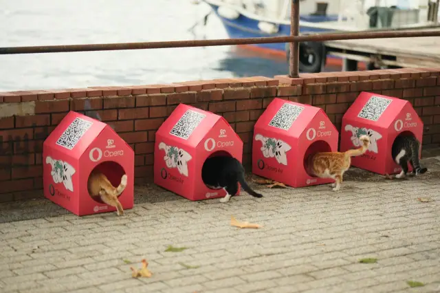 Kedi Mahallesi su dağıtım sistemi