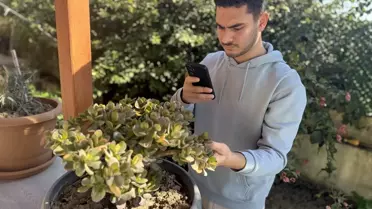 Uygulamanın arayüzü ve bitki tanıma ekranı