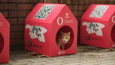 Opera, Sokak Kedileri İçin Dijital ve Fiziksel Yaşam Alanı “Kedi Mahallesi” Projesini Hayata Geçirdi