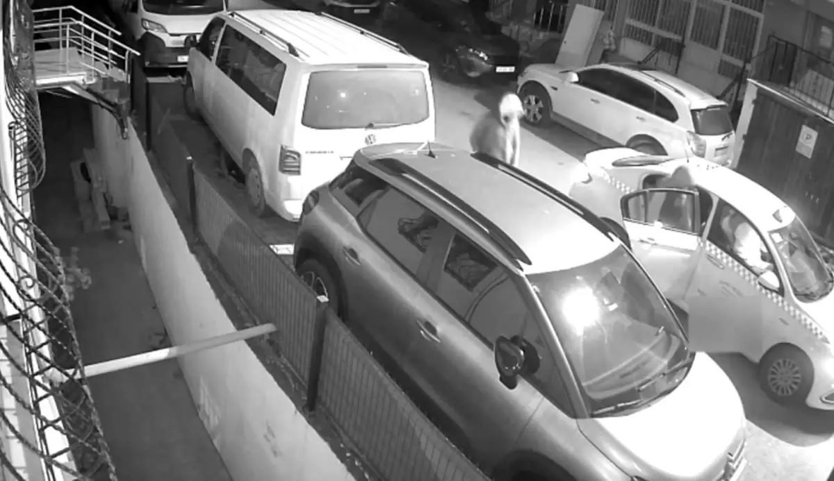 İstanbul’da İş Yerine Yönelik Silahlı Saldırının Ardından 6 Şüpheli Gözaltına Alındı