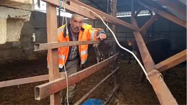 Gaziantep'te Şiddetli Kar Yağışı Ahır Çatısını Yıktı: Maddi Hasar ve Önlemler