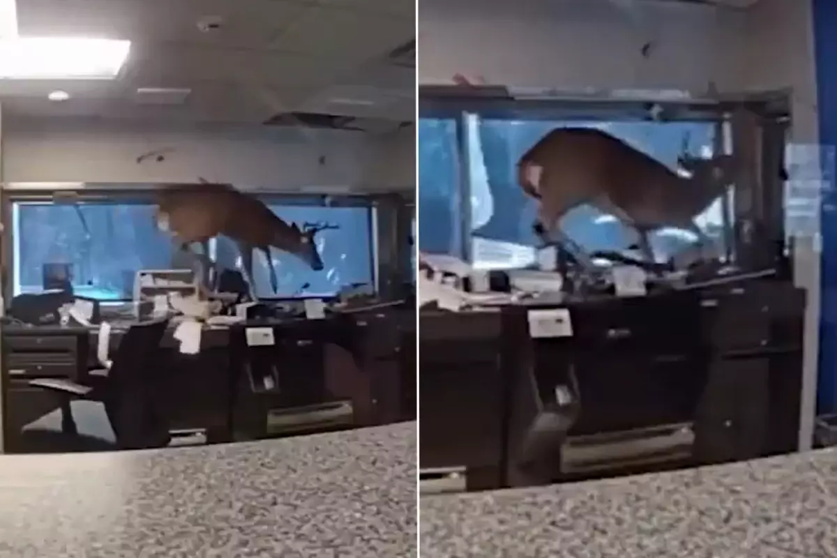 Bankanın dış cephesi