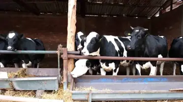 Besi Projesi uygulama sahası Amasya