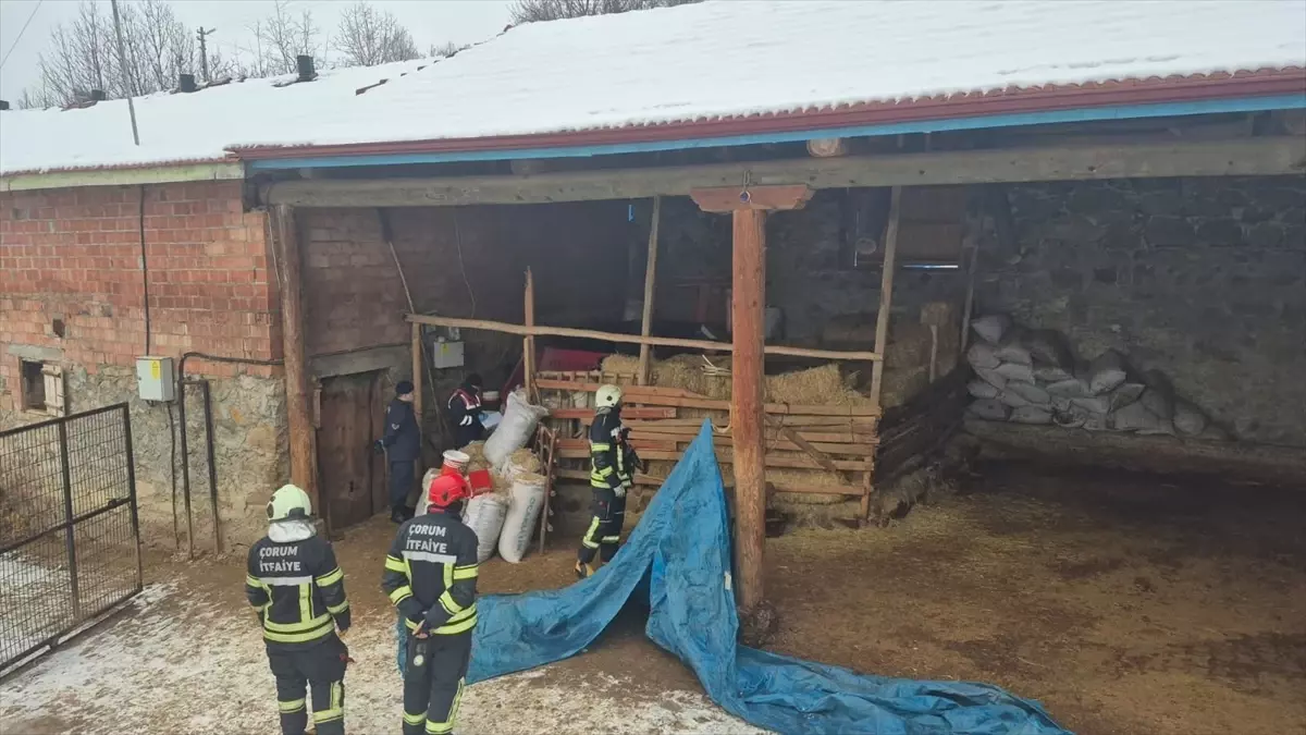 Çorum Değirmendere'de Yem Kırma Makinesine Çarpan İşçi Şokta Hayatını Kaybetti
