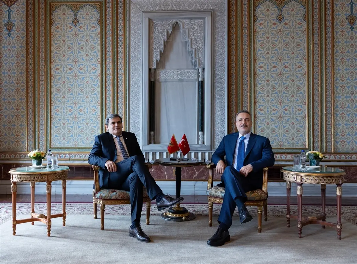 İstanbul’da Balkan Barış Platformu’nda Hakan Fidan ve Ervin İbrahimović Görüştü