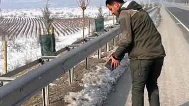 Batman’da Kışa Hazırlık: Kuşlar İçin Doğal Yem Bırakıldı