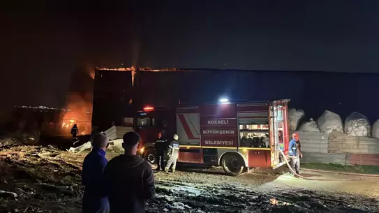 Gebze'de Atık Plastik Deposu Yangın Yakaladı: İtfaiye Hızla Müdahale Etti