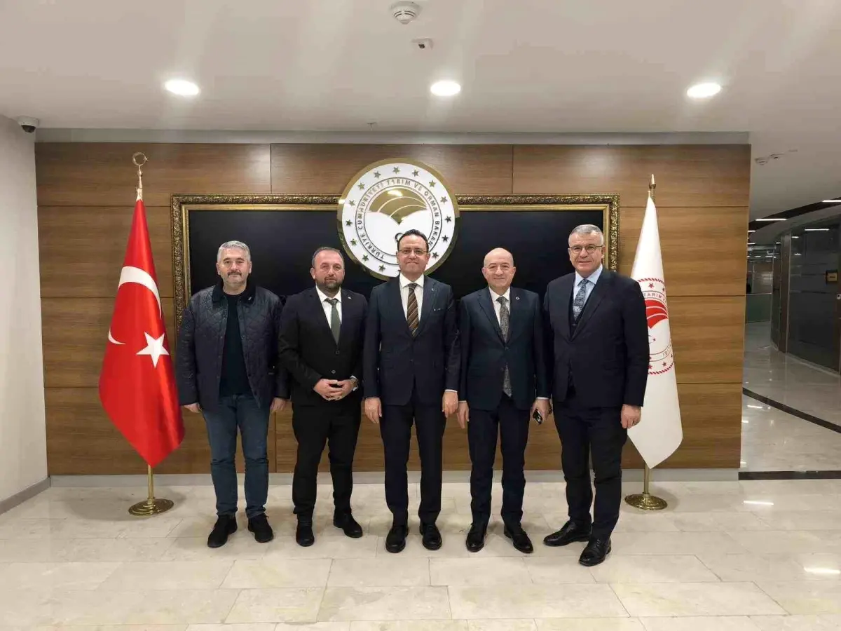 Elbi’nin Köprü Projesi: Karabiga’da Şeremetdere Yeniden İnşa Ediliyor