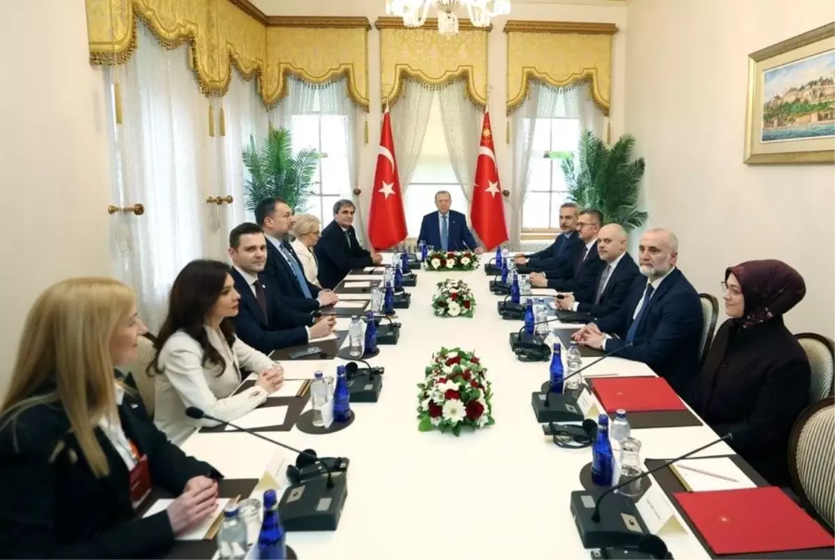 Erdoğan, Balkan Barış Platformu’na Yeni Üyeleri İstanbul’da Karşıladı