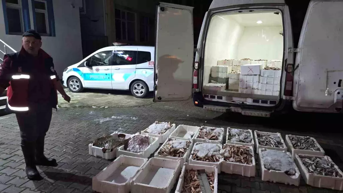 Kastamonu Çatalzeytin'de 1,5 Ton Yasa Dışı Avlanan Balığa Operasyon