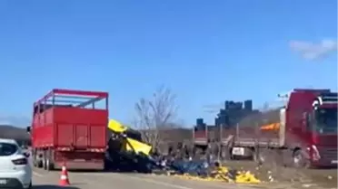 Burdur Çavdır’da Limon Yükü Taşıyan Tır Devrildi, Yaralanma Yok