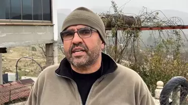 Bucak'ta Sokak Köpekleri Sahipli Köpeğe Saldırdı: Olayın Ardındaki Gerçekler