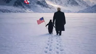 Trump ve Penguen, Grönland’da Dijital Sanatla Buluştu