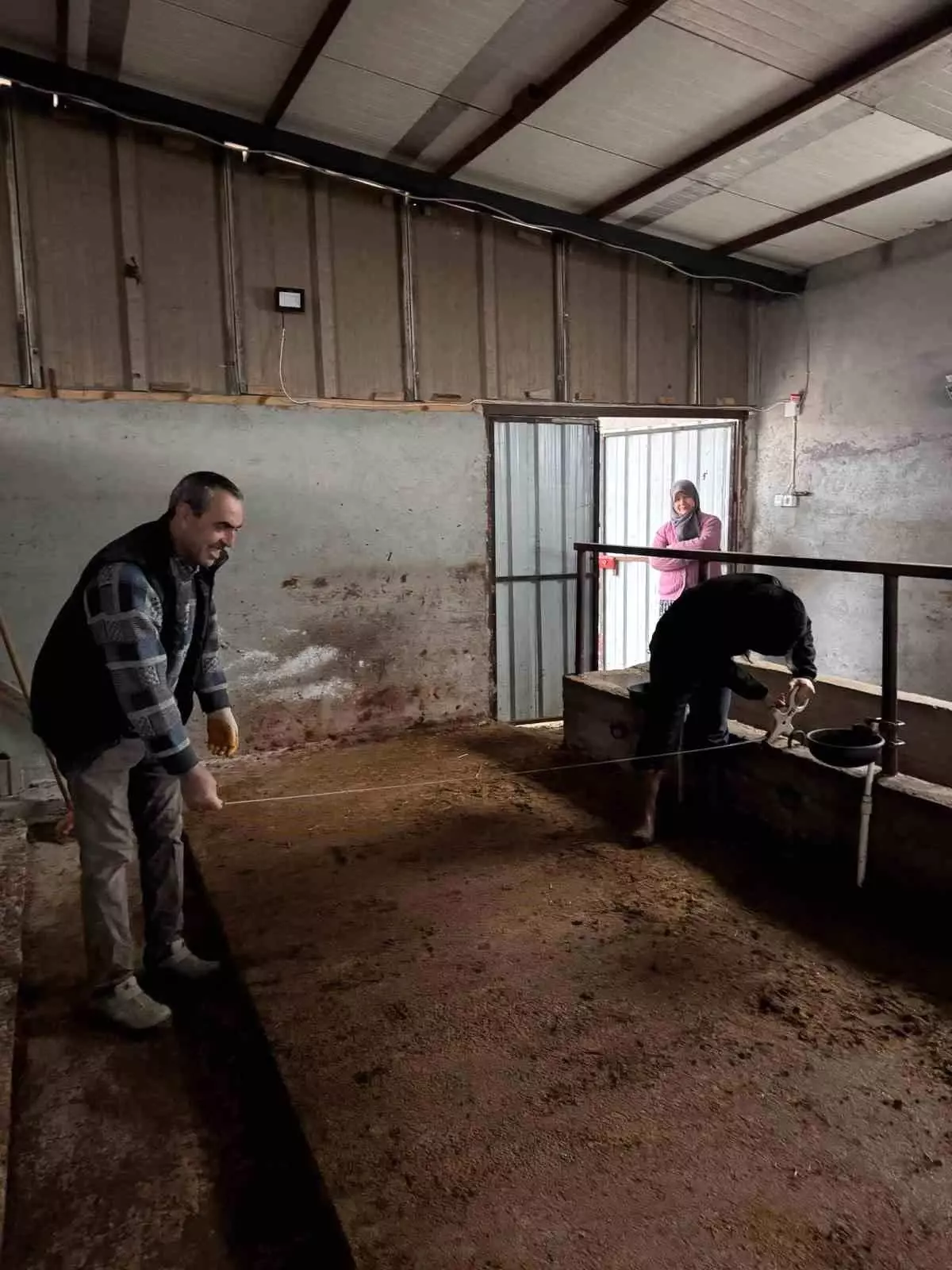 Bilecik Gölpazarı'nda Büyükbaş Hayvancılık Kapasite Kontrolleri Başladı