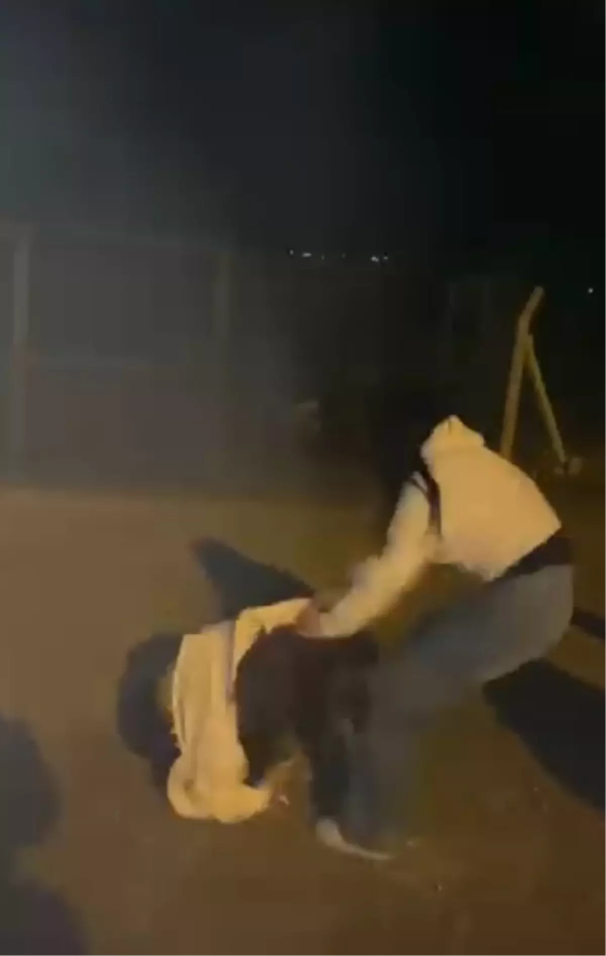 Adana'da Üç Kız Arasındaki Tartışma Şiddetli Kavgaya Dönüştü