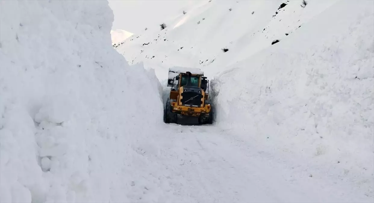 Yüksekova'da Çığ Yolunu Açtı: Kurtarma Ekipleri 12 Saatte Çalıştı