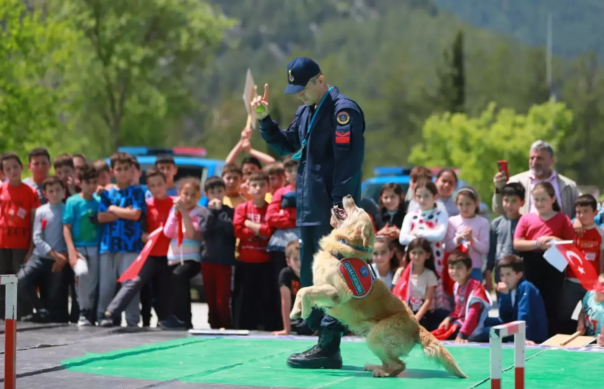 Arama ve Kurtarma Köpeği Ocak, 8 Yılda 48 Hayatı Kurtardı ve Emekli Oldu