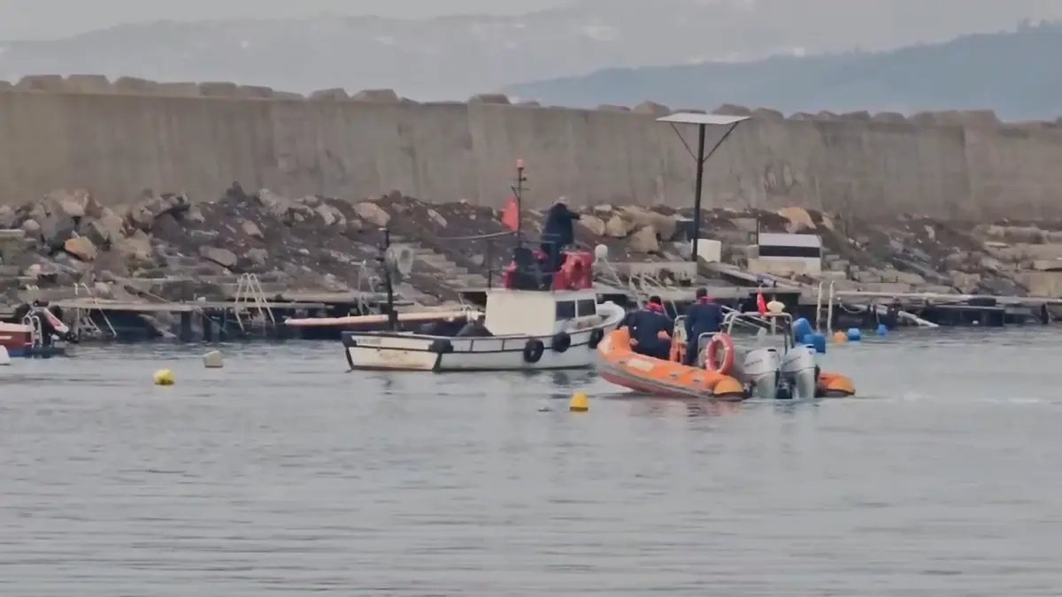 Zonguldak'ta Balıkçı Barınağındaki Yunus Kurtarıldı