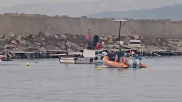 Kurtarılan yunusun fotoğrafı