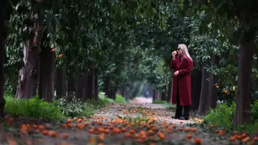 Antalya’nın Turunç Yolu Kışın Fotoğraf Tutkunlarının Yeni Rotası