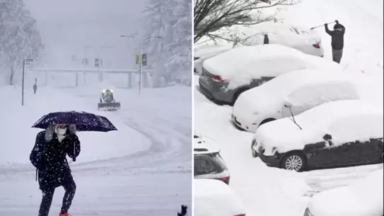 Şiddetli Buz Fırtınası ABD'nin Doğu ve Güney Kıyılarını Felç Etti