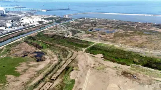 Samsun'da Otomobil Fabrikası İçin Arazi Hazır: Chery ve Diğer Potansiyel Yatırımcılara Açık