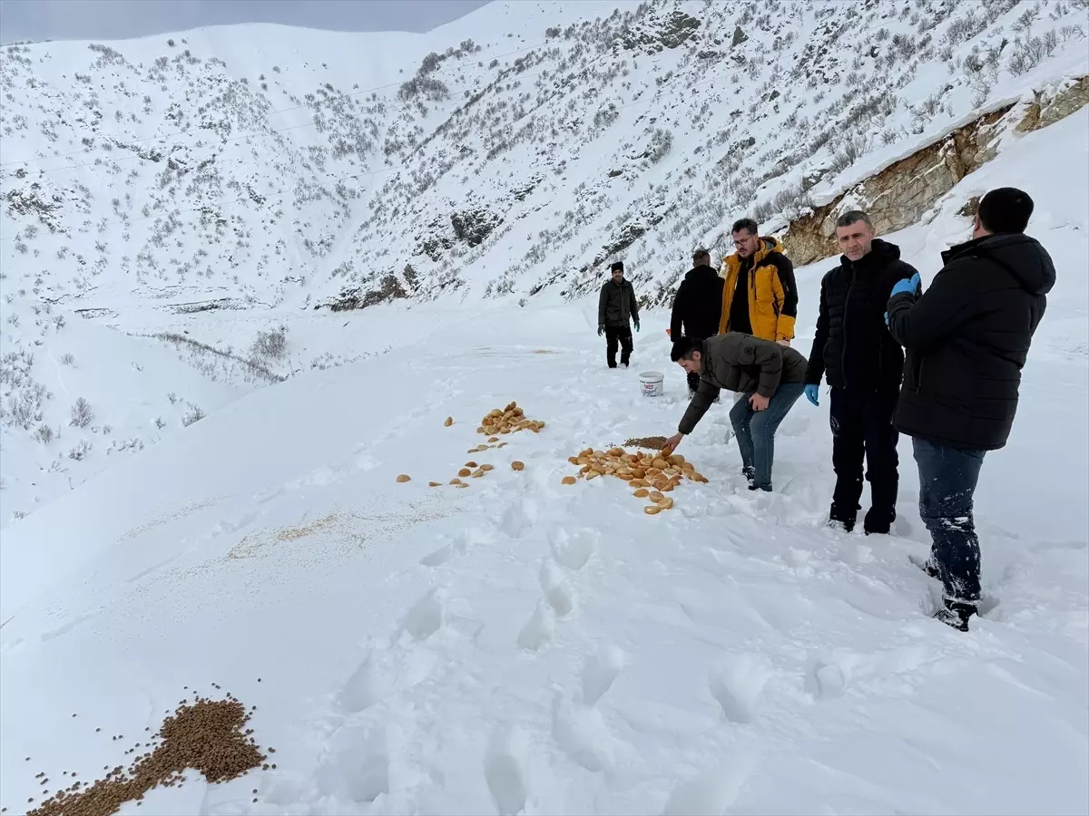 Doğu Anadolu’da Kar Fırtınasıyla 145 Yol Kapandı: Van, Bitlis, Muş ve Hakkari’yi Etkiliyor