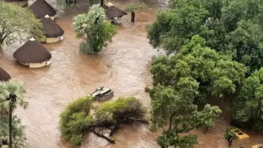 Sel sonrası Kruger Ulusal Parkı'nda su birikintileri