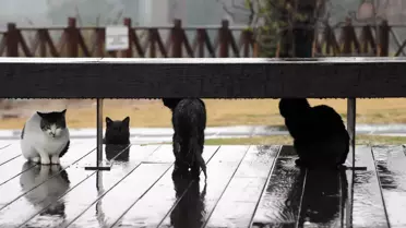 Antalya’da Şiddetli Yağışlar Yolları Felç Etti, Turist Akışı Azaldı