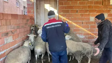 İpsala Kaymakamı Ömer Sevgili, İbriktepe Köyünde Halk Eğitim Merkezi'ni İnceledi
