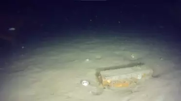 Nedim Kuru'nun Ekibi 1975 THY Uçağı Enkazında Yeni Parçalar Buldu