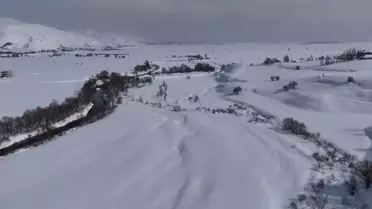 Drone ile çekilen buzlu derede ördekler