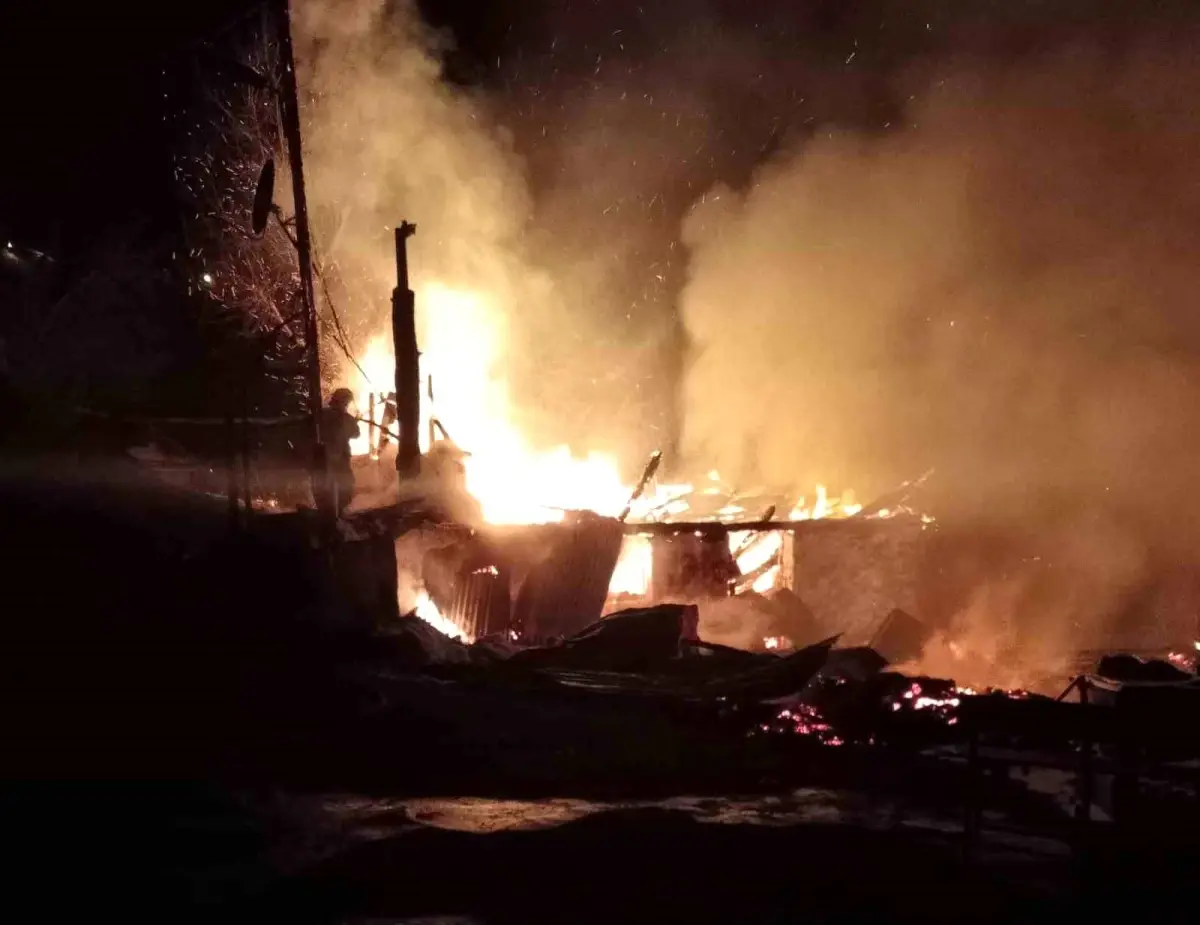 Ordu Ünye'de 67 Yaşındaki Adam Yangını Başlatıp Ağaçta Asılı Bulundu