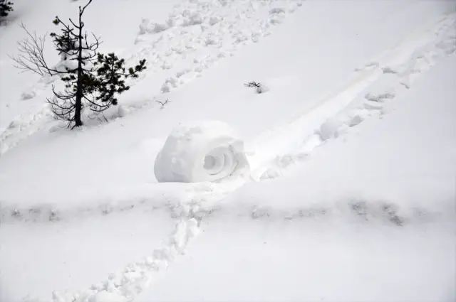 Kar rulolarının yakın çekim görüntüsü