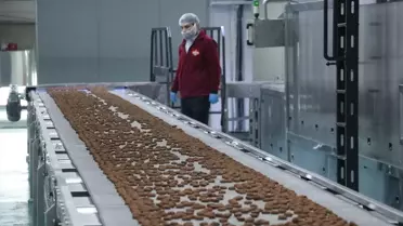 Kayseri’de 500 Milyon Liralık Glütensiz Gıda Üretim Tesisi Açıldı