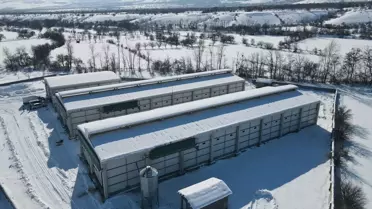 Tesis içinde modern yumurta üretim hatları