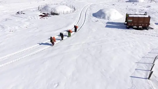 Mazıdağı’nda Kadınların Kış Mücadelesi: Soğuğa ve Kar Yağışına Karşı Hayvan Besleme Çabası