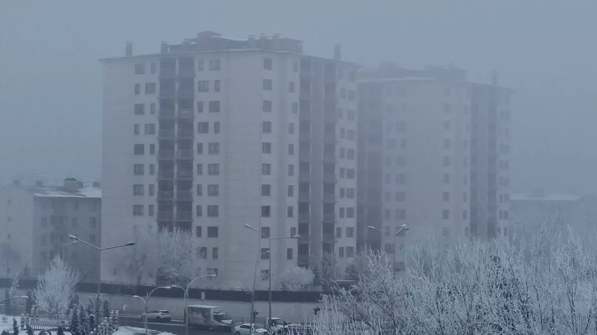 Diyarbakır’da Görüş Mesafesi 20 Metreye Düştü: Yoğun Sis ve Kırağın Etkileri