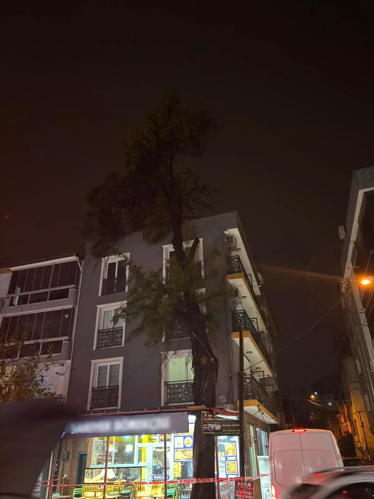 Buca'da fırtına sonrası ağaç binaya dayandı