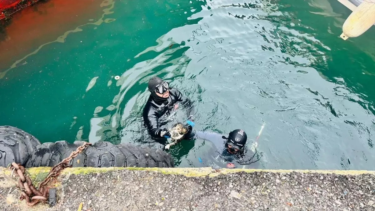 Karşıyaka’da Su Altında Kalan Kedi, İtfaiye Timinin 20 Dakikalık Operasyonu ile Kurtarıldı