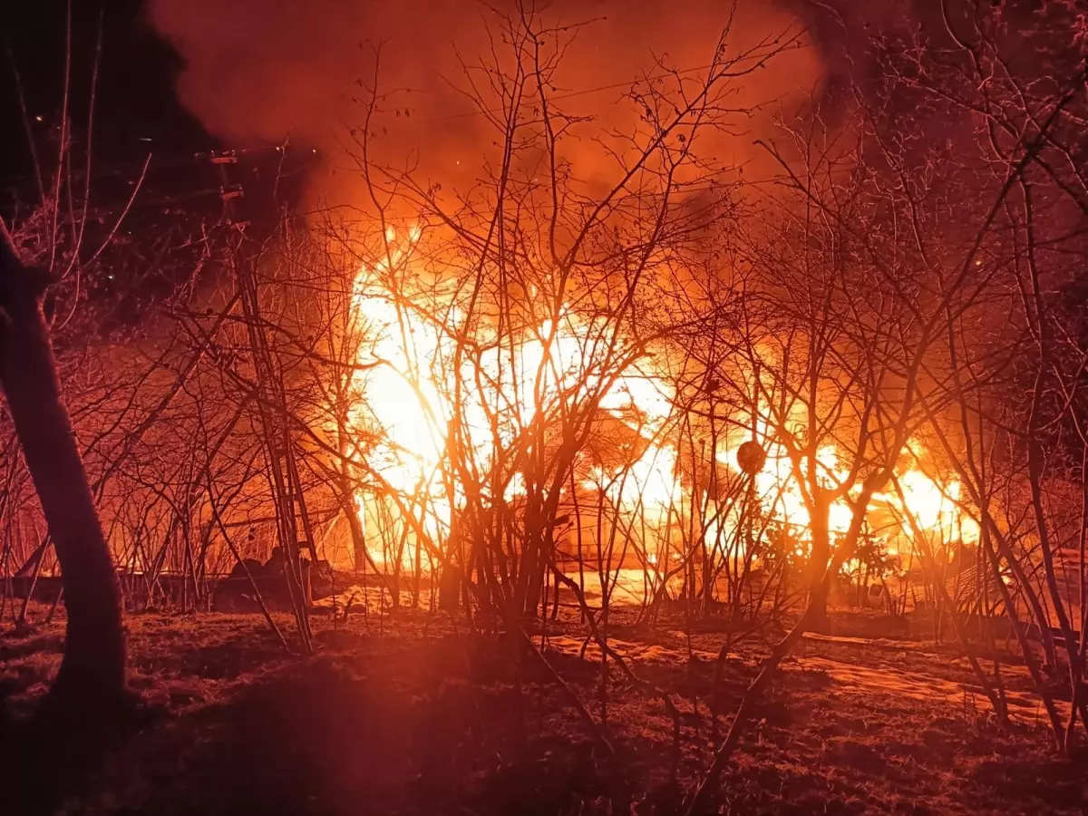 Ordu'da Şok Olay: Yangın Sonrası Vücudu Ağaca Asılı Bulunan Adamın Gizemi