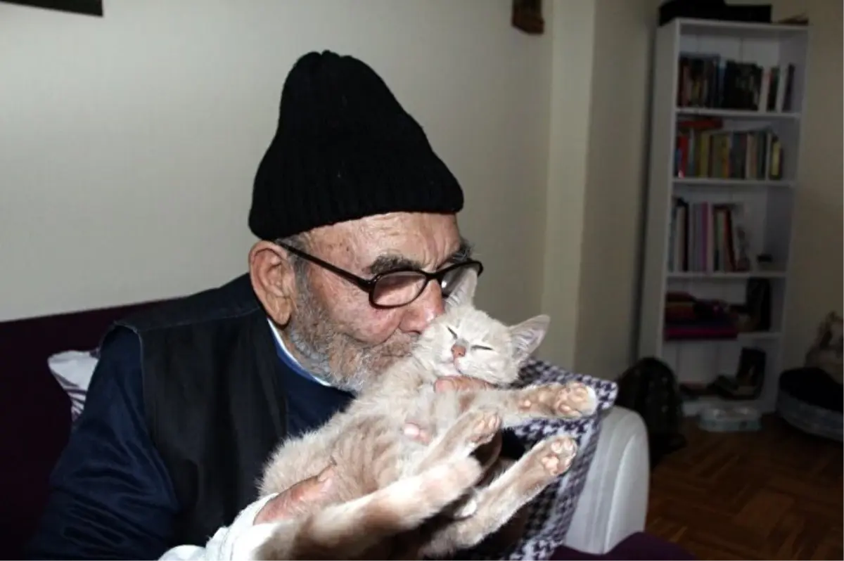 93 Yaşındaki 'Ali Dede' Hayatını Kaybetti: 2018 Yangını Gündemde