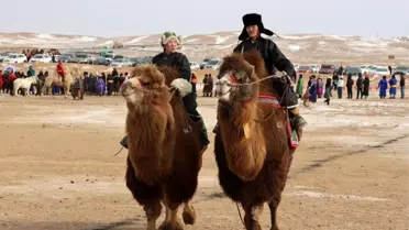 Dundgobi’de Deve Yarışı ve Polosu Şöleni: Moğolistan’ın Renkli Festivali