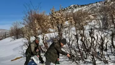 Kuşların yem topladığı an