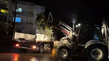 Nazilli'de Şiddetli Fırtına Ağaçları Yere Döktü, Elektrik Kesintisi Yaşandı