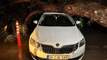 İzmir'de Şiddetli Yağış ve Fırtına Trafiği Felçledi, Ağaçlar Yere Yığıldı