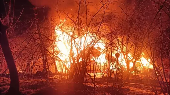 Ordu'da Şok Olay: Yangın Sonrası Vücudu Ağaca Asılı Bulunan Adamın Gizemi