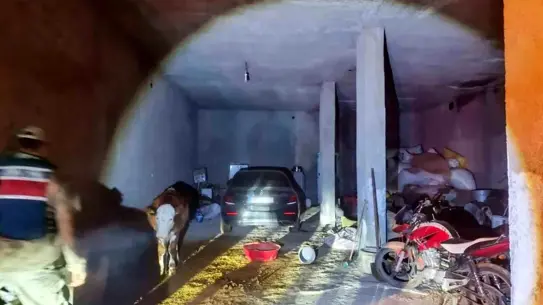 Akçakale’da Çalıntı Araç Saklayan Şahıs Jandarma Tarafından Gözaltına Alındı